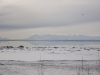cook-inlet