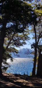 13278e67-fca3-4f7a-81d7-010390faff4f