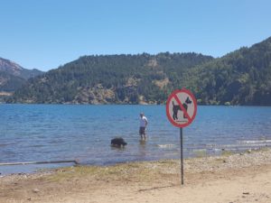 a8fa135e-c5a4-4ed3-a5f5-0427553d9ab1