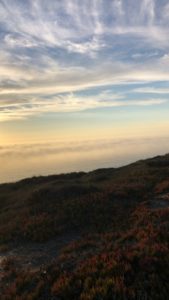 1FD99E57-54E1-411B-9D4F-42417E7ED6ED