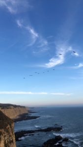 9C899CD7-75E9-4040-9830-B8CD926AD44C