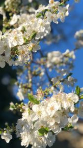 7CAD1386-DD87-4AB0-B1A8-A7E6E1B68A61