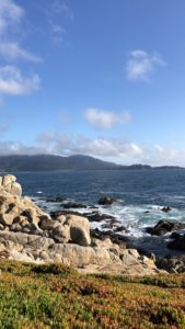 4AFE79C9-2FFF-468C-A3F8-BEA7E260649E